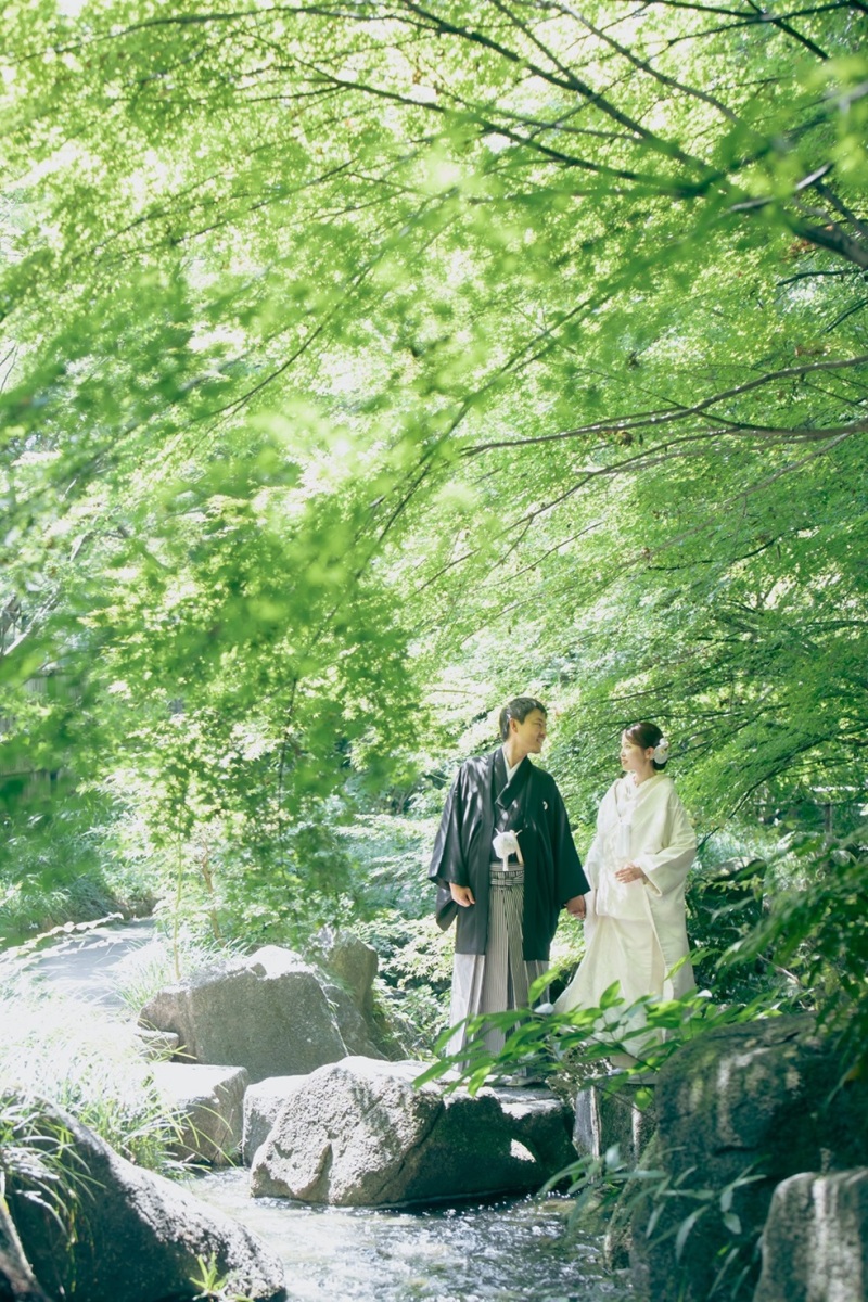 緑と滝