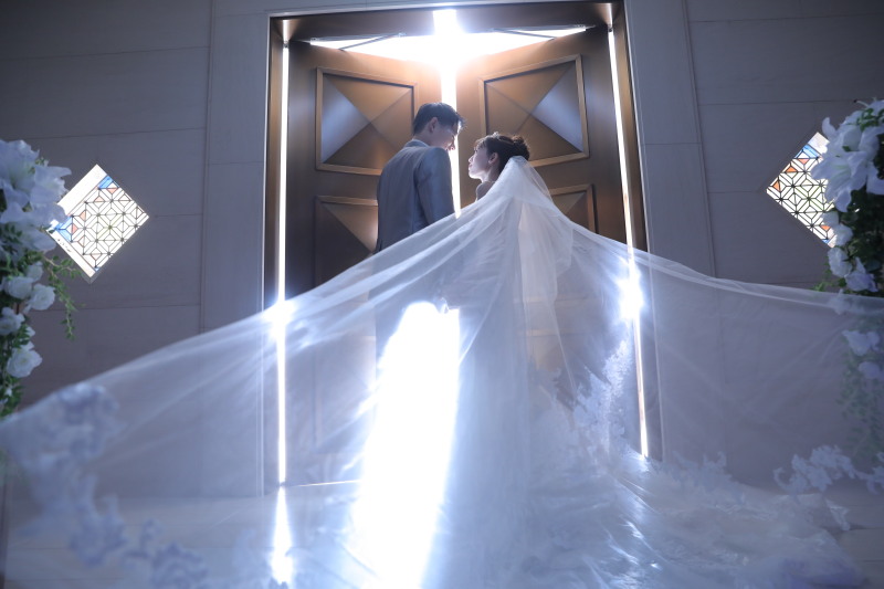 ロングベールショット