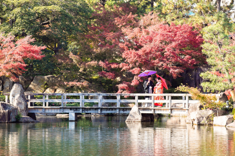 今年も秋ロケが素敵でした特集PART2★☆