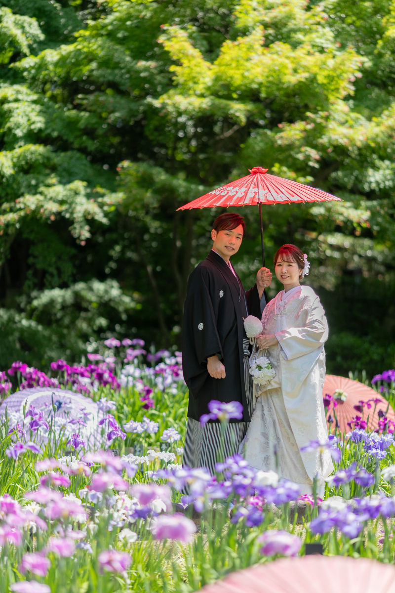 花菖蒲
