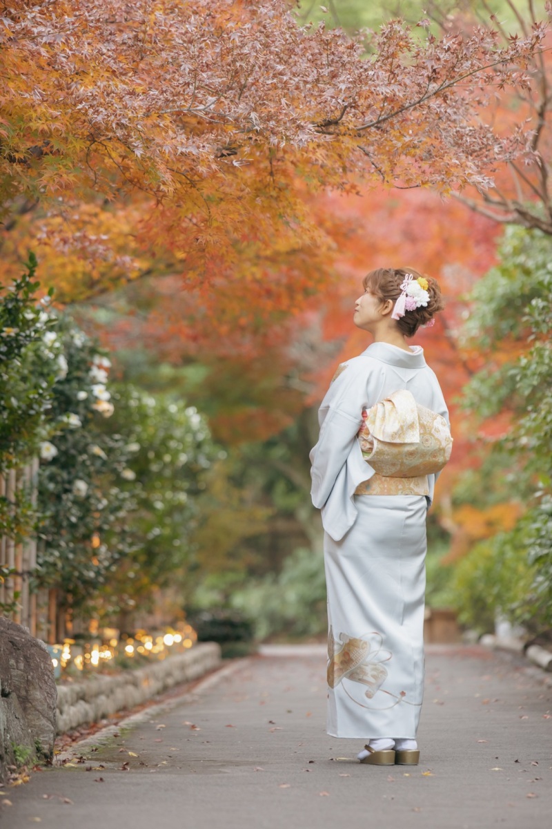 お太鼓アレンジ