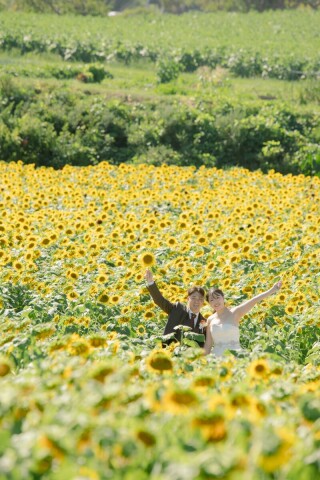 海・ひまわり畑ロケーションフォト