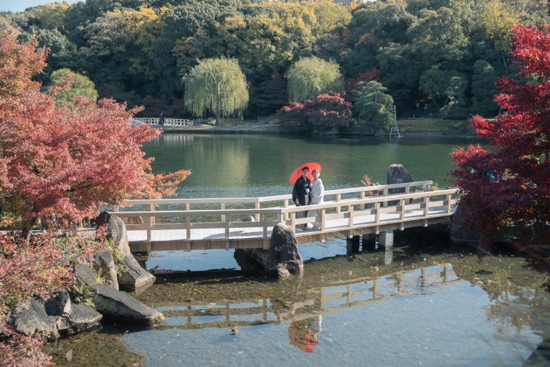 池に架かる橋