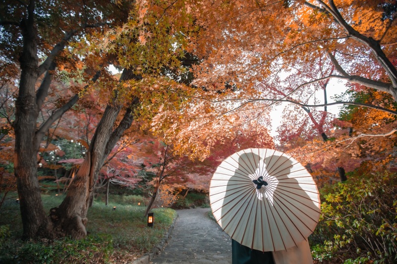 和傘シルエット