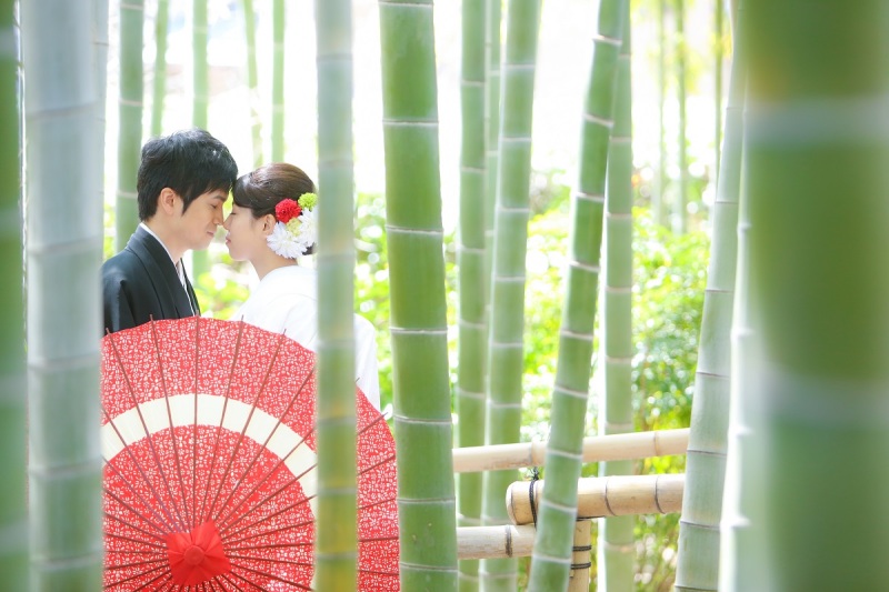 秘密のフォトジェニックスポット！