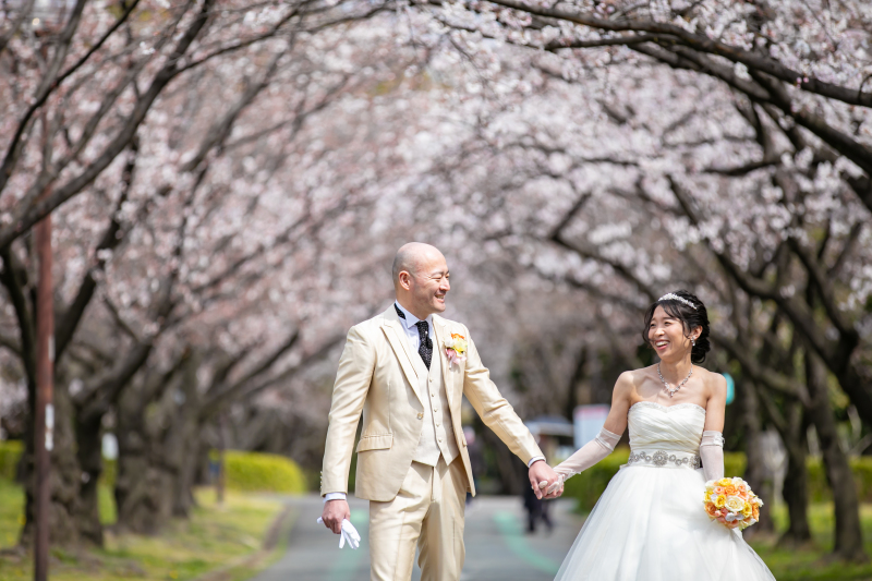 桜並木~♪
