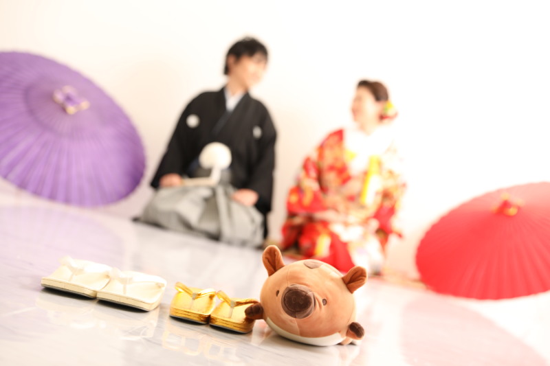 来年の干支はいのしし☆