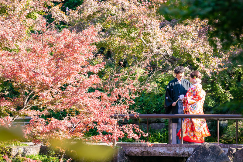 引きの写真が圧巻！！！！