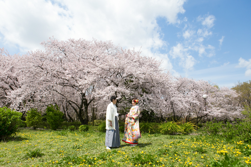 桜の名所でもあります!