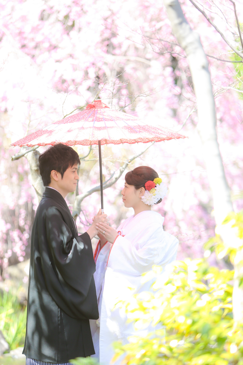 満開の桜のカーテン☆