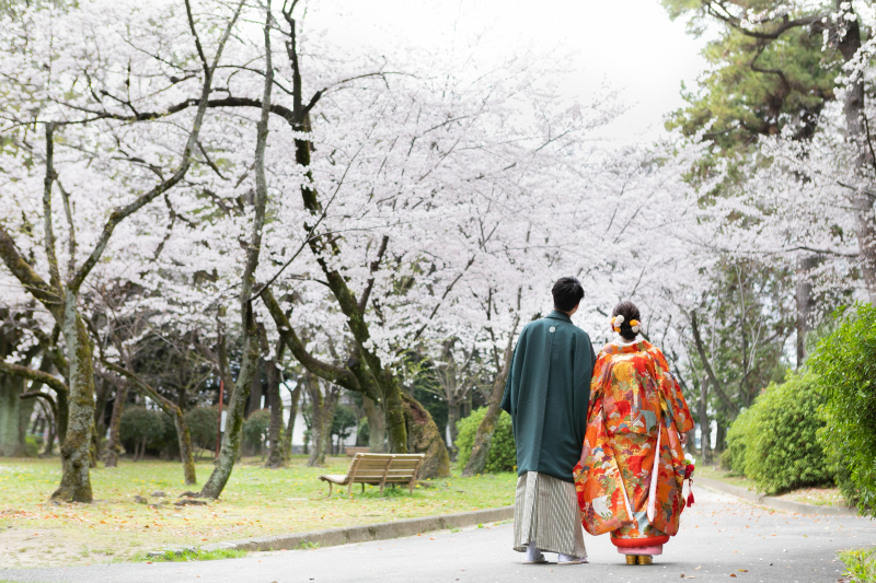 桜シーズン