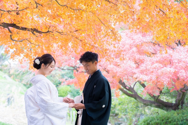 紅葉が見頃の時期になりました