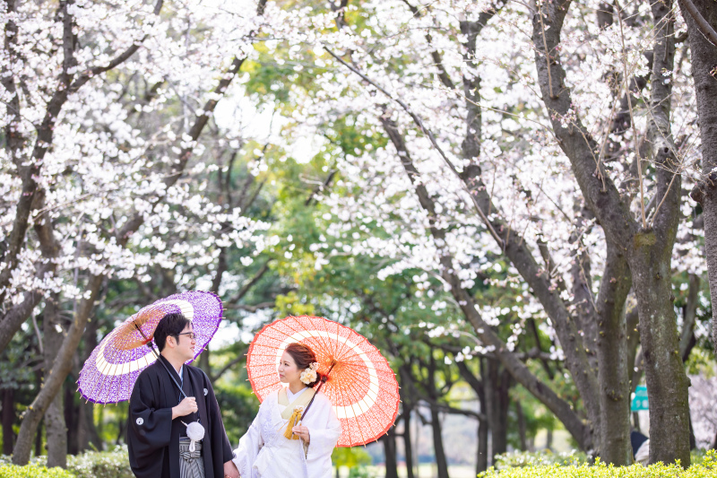 咲き始めの桜と新緑♪