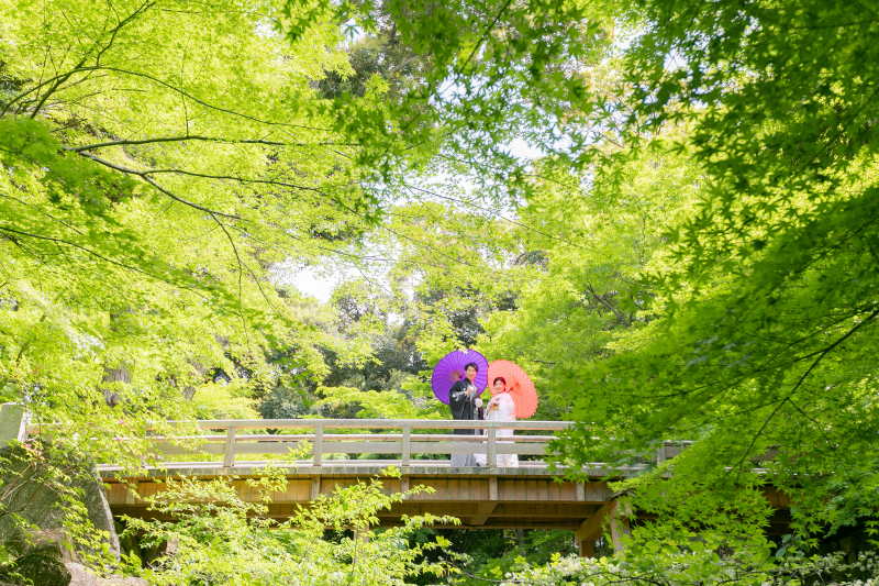 青もみじ2