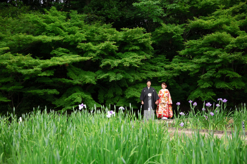 季節ならではのお花