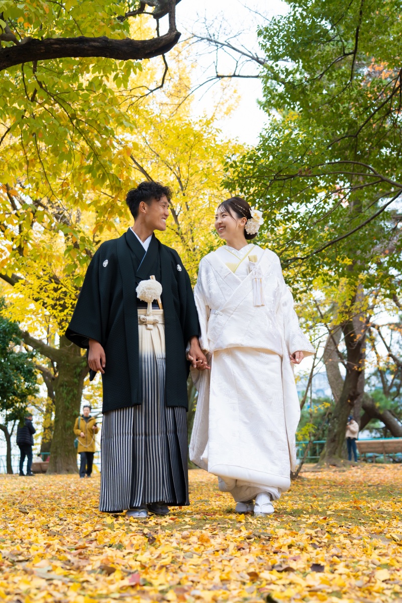 イチョウの絨毯