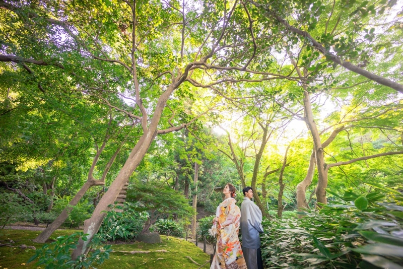 ロケーション絶好の時期