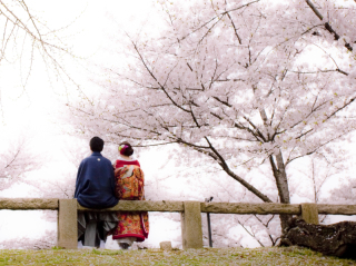 フォトウェディングについて