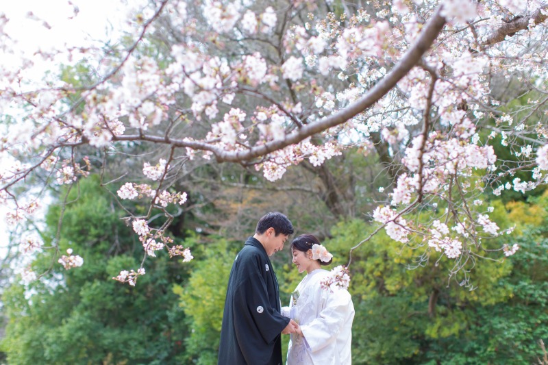 桜でご家族フォト　（後楽園）