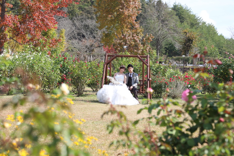 四季折々のお花