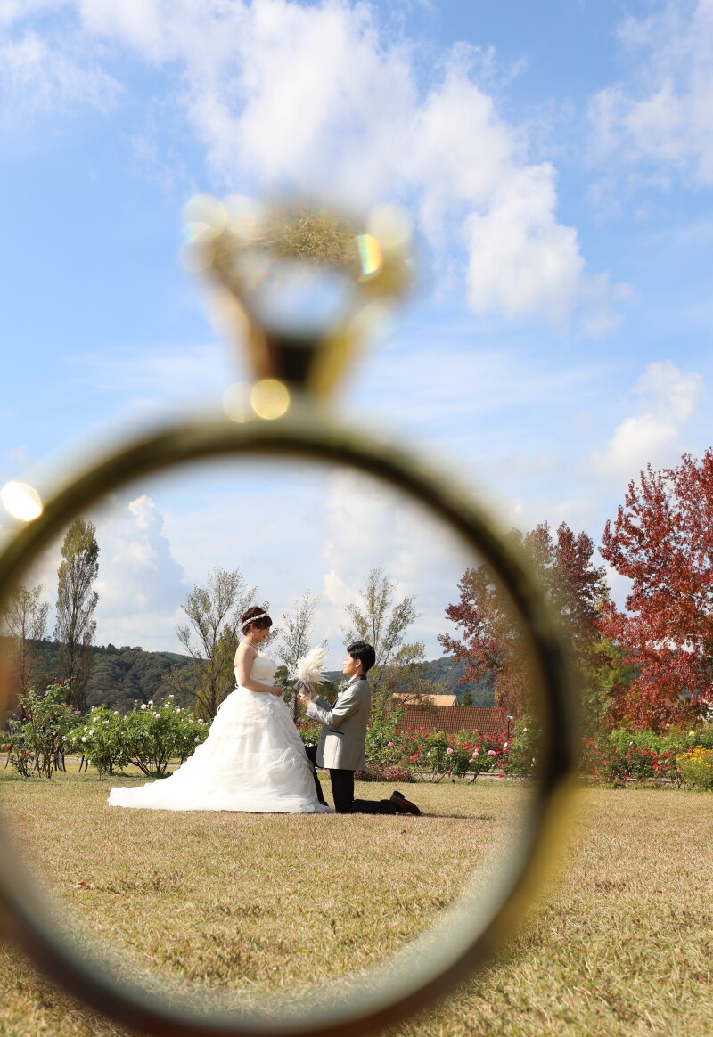 リングフレーム