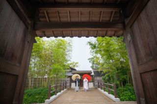 犬養木堂＆スタジオ