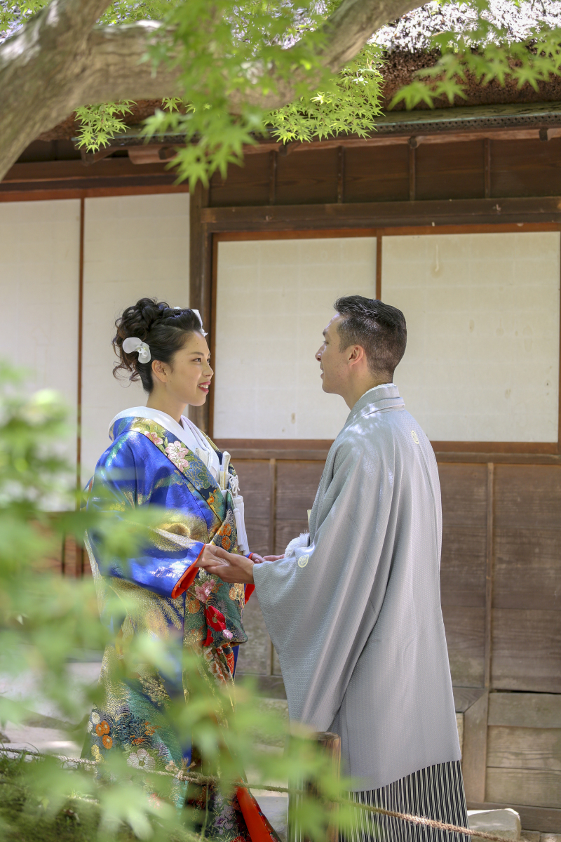 新緑がきれい！