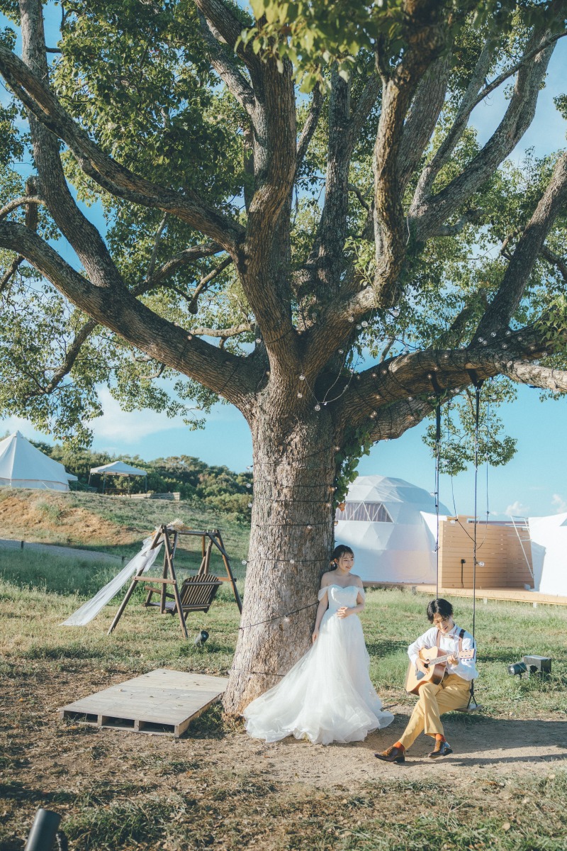 大きな木の下で