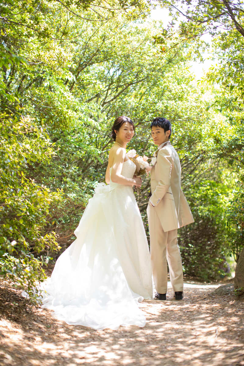 木々に囲まれた道中で