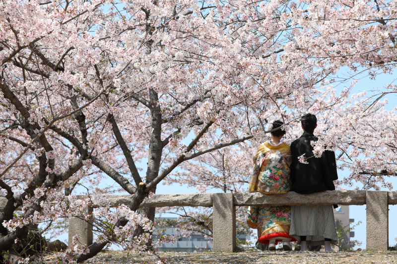 春のロケーション！