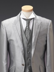 スタイリッシュシルバー