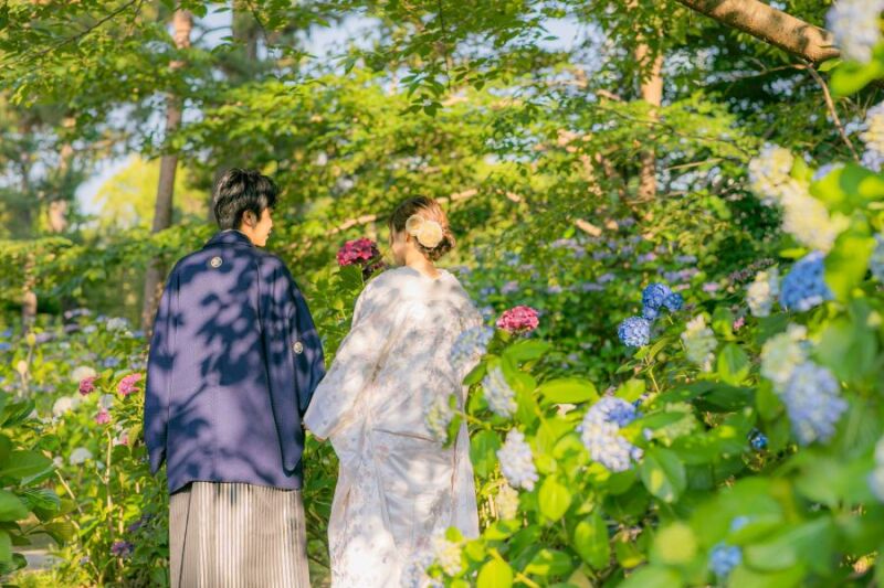 アジサイに包まれて~✿