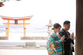 桜ロケーション撮影　～宮島～