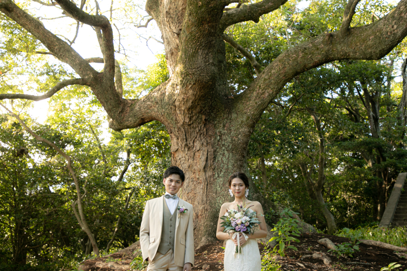 【元宇品公園】ロケーションフォトプラン