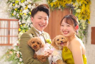 ペットと一緒に