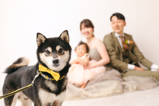 楽しい家族撮影！