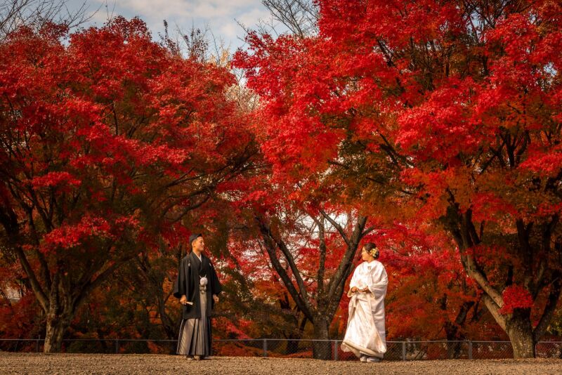 紅葉