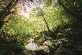 上林森林公園＋モンチッチ