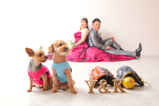 ｽﾀｼﾞｵフォト