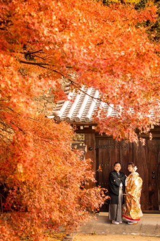 ワタベウェディング松山フォトスタジオ_紅葉
