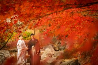 ワタベウェディング松山フォトスタジオ_紅葉