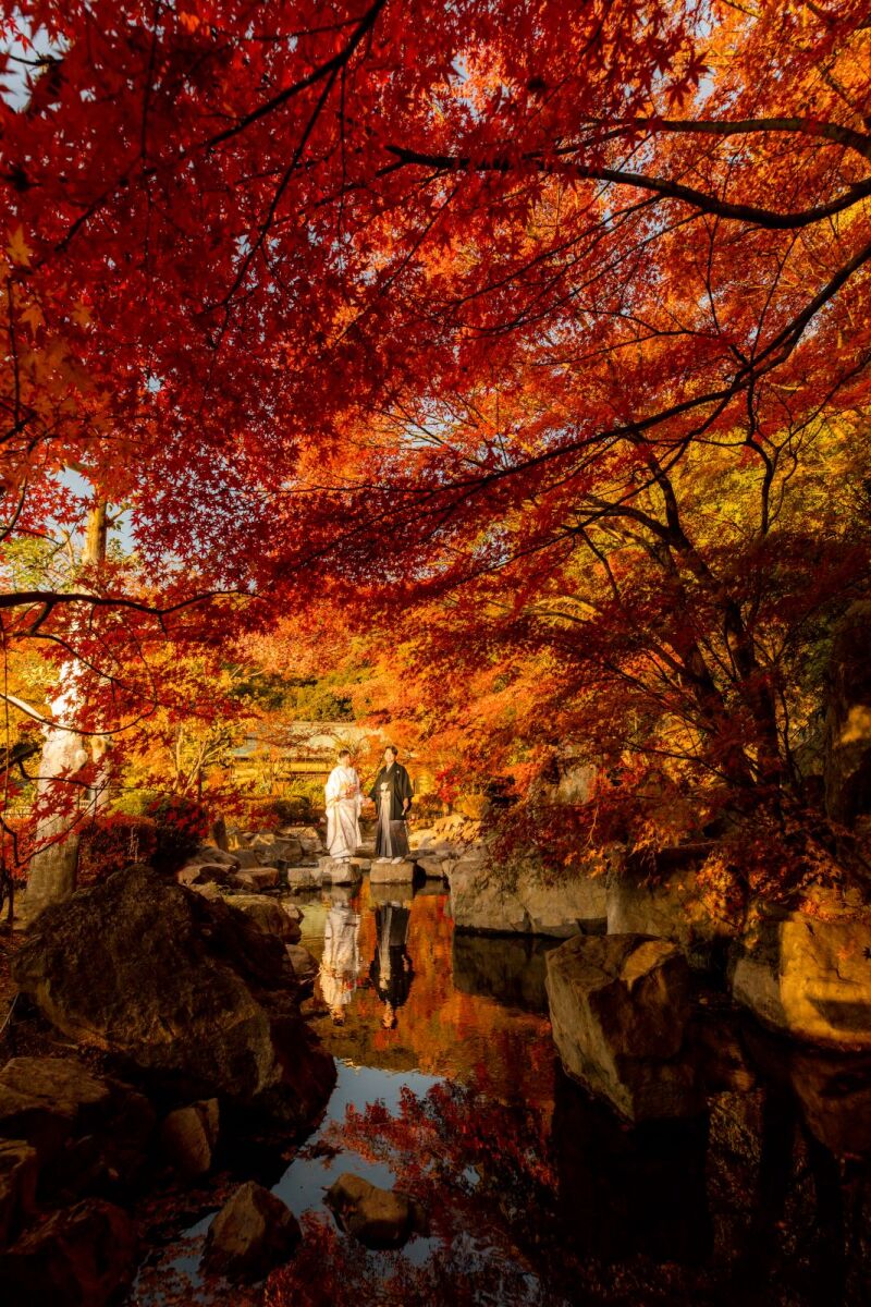 ★早期キャンペーン★【シーズン料金2万円オフ】紅葉ロケーションプラン