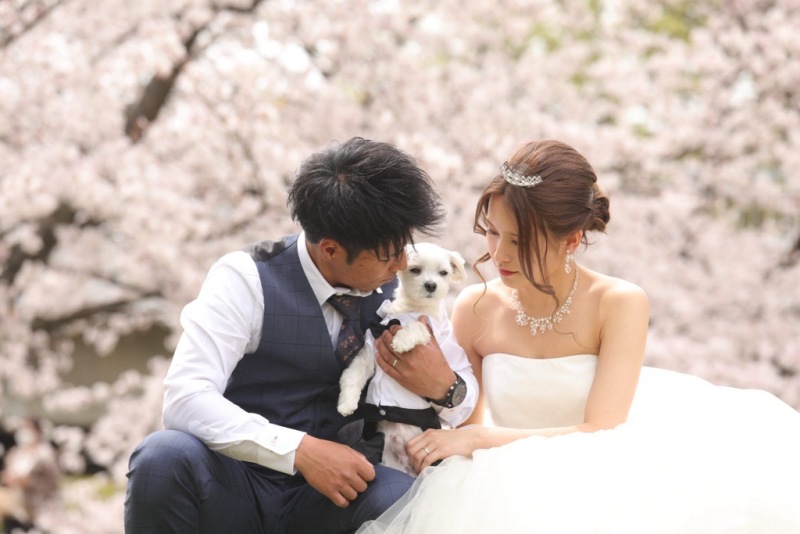 【期間限定】桜ロケーション ❀ ロケーション地までの送迎付　　