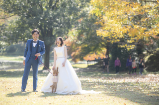 WDフォトツアー特別プラン