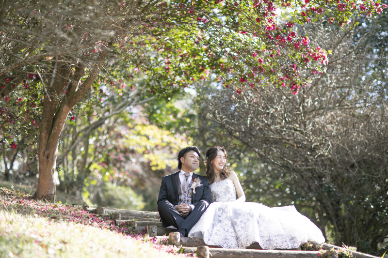 鮮やかなピンクの花の下で