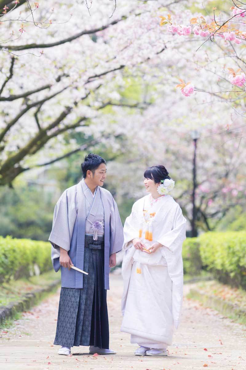 桜の咲くシーズンをお二人仲良く♪