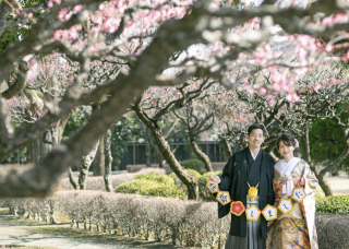 水前寺成趣園　梅ロケ