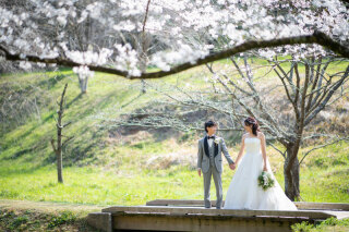 立田山ロケ（桜）