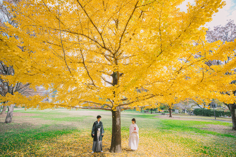 紅葉ロケ