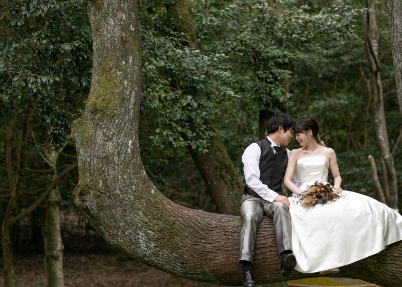 立田山でナチュラルフォト